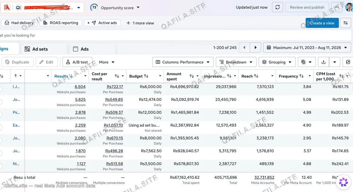 Real Meta Ads Manager account view showing results, cost per result, budget, amount spent, impressions, reach, frequency, and CPM columns across multiple ad sets